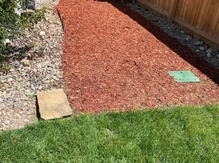 Weeding by Aaron Fresquez for Paul L. in Westminster, CO