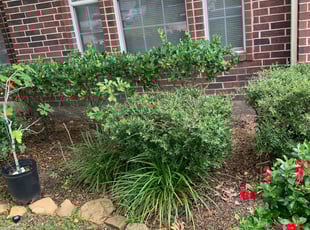 Weeding by Brittney Mcgee for Sharon m. in Spring, TX
