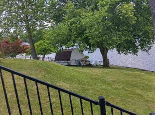 Sharon N.'s Yard Cutting service result
