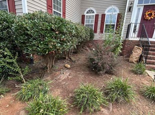 Weeding by Nelson Lopez for Amy N. in Indian Trail, NC