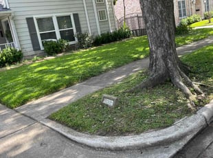 Stephen T.'s Lawn Care service result