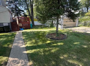 Cindy c.'s Lawn Service service result