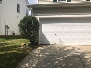 Bush Trimming by Jeffrey Terry for Derrick W. in Charlotte, NC