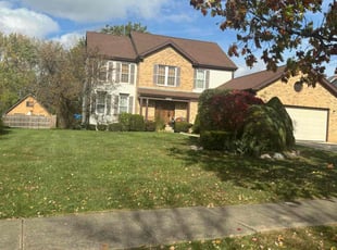 Suzanne R.'s Yard Cutting service result