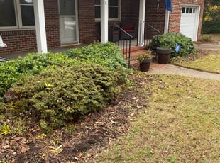 Bush Trimming by Andree Dualan for Regina D. in Virginia Beach, VA