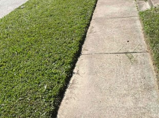 Sarah K.'s Lawn Mowing service result
