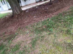 Leaf Removal by Dany Muralles for maria g. in Silver Spring, MD