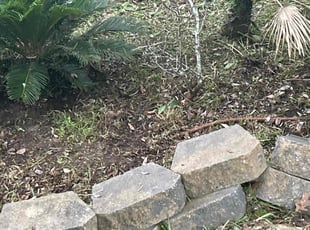 Weeding by Yard Transformers for Jordan E. in Charleston, SC