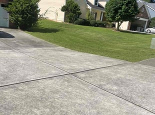 Charles H.'s Lawn Mowing service result
