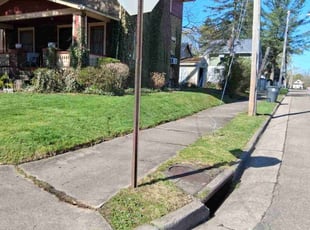 TJ S.'s Grass Cutting service result