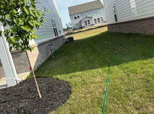 Cleanups by Mikie Clark for Kimora M. in Bargersville, IN