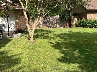 Jon K.'s Yard Cutting service result