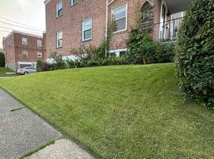 Bush Trimming by Elijah Brown for Hunter S. in Yeadon, PA