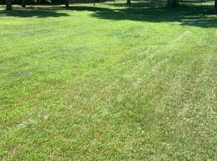 Cindy W.'s Lawn Mowing Service service result