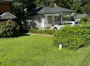 David S.'s Lawn Mowing Service service result