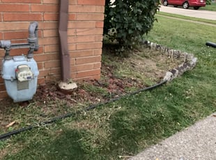 Weeding by Brian Norris for Harlan M. in Cleveland, OH