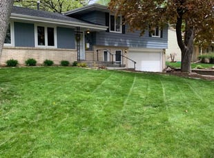Joan M.'s Cleanups service result