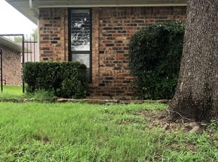 Bush Trimming by maria Hernandez for Magali B. in Carrollton, TX