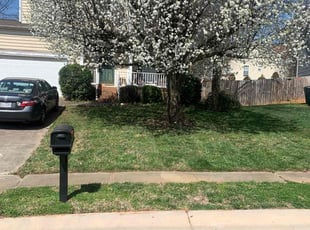Bush Trimming by Chance Rosenberger for Clinton M. in Charlotte, NC