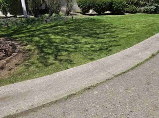 Cathy P.'s Lawn Care service result