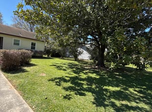 Patricia S.'s Lawn Care service result