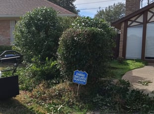 Bush Trimming by Alan Stone for Katarina G. in Carrollton, TX