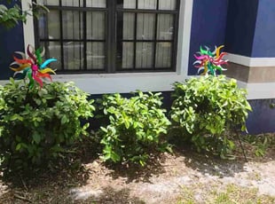Bush Trimming by Marvel Carmichael for Mariel G. in Longwood, FL