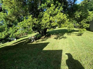 Libby C.'s Lawn Mowing Service service result