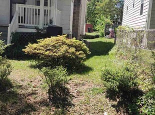 Cleanups by Allan Roberts for Adebowale A. in Washington, DC