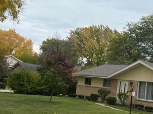 Leaf Removal by Michael Williams for Eric L. in Brown Deer, WI