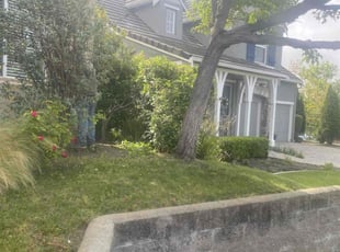 Bush Trimming by Michael Leftridge for Henry B. in Vallejo, CA