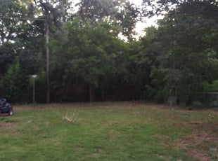 Cleanups by Alejandrina Ballesteros for Peyton G. in River Oaks, TX