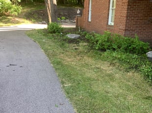 Cleanups by Ryan Cooper for Jasper S. in Grand Rapids, MI