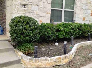 Bush Trimming by John Brown for Stephanie D. in McKinney, TX