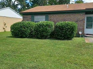 Bush Trimming by Aderias Rollins for Cariel c. in Jacksonville, FL