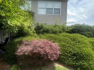 Bush Trimming by Dutch Lawn Care for JR W. in Cumming, GA