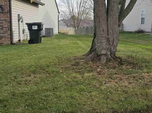 Leaf Removal by David Garcia for Bradley S. in Indianapolis, IN
