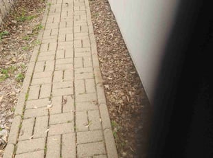 Cleanups by Robert Bond for Matthew F. in Omaha, NE