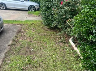 Bush Trimming by Benjamin Lambert for Mary Z. in Alabaster, AL