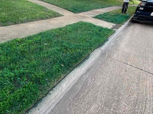 Weeding by Osmin Salvador for John P. in Garland, TX