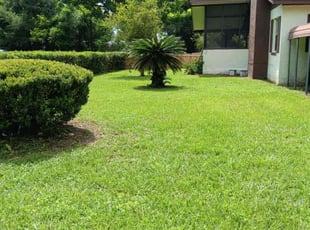 Charlene M.'s Yard Cutting service result