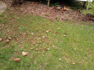 Cleanups by Untril Overstreet for Robbie D. in Peoria, IL
