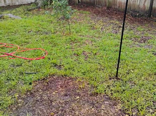 Leaf Removal by Efrain Marrero for Steve F. in Lutz, FL