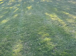 Karen T.'s Lawn Service service result