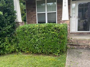 Bush Trimming by Erick G for Kathryn G. in Holly Springs, NC
