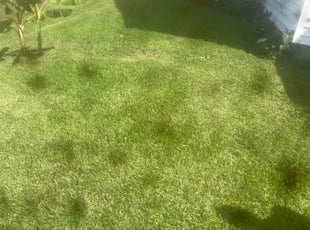 Leslie S.'s Lawn Care service result
