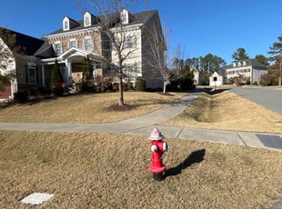Leaf Removal by David Canty for Praveen N. in Cary, NC