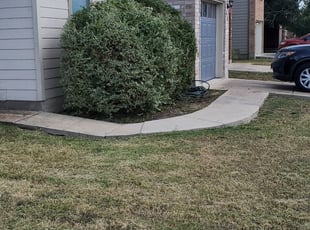 Bush Trimming by Brittany Lynch for Ashley L. in Converse, TX