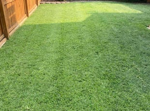 Saurabh B.'s Lawn Mowing Service service result