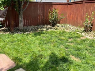Weeding by Aaron F for Louisa P. in Denver, CO